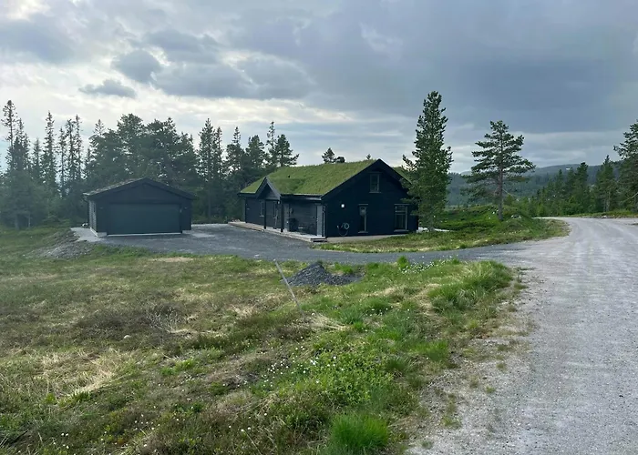 Stor Hytte Ved Hardangervidda Med Solrik Veranda