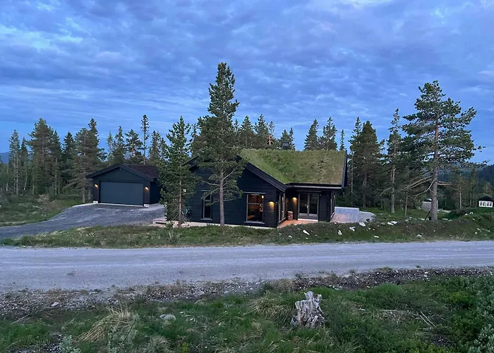 Stor Hytte Ved Hardangervidda Med Solrik Veranda *